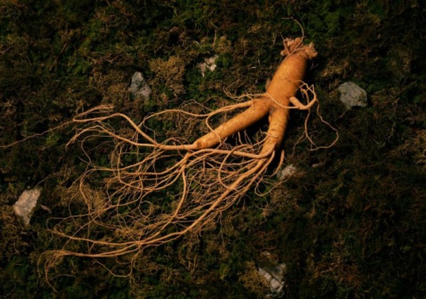 국가유산청, 유네스코 인류무형유산 대표목록 등재신청서 제출